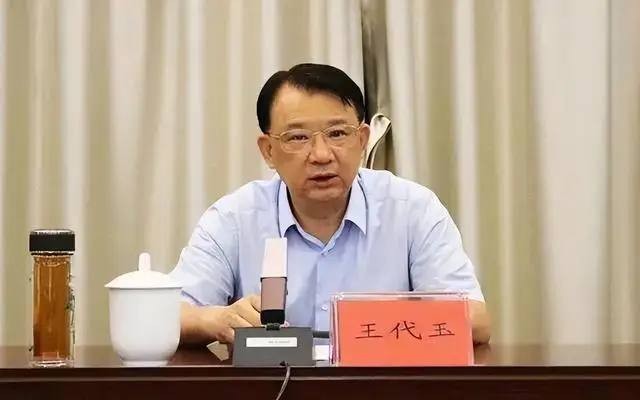 官场酒鬼王代玉：“有酒必喝、逢请必到”，倒在酒杯里的腐败副厅长