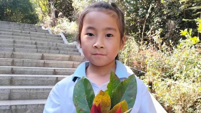云南7岁女孩尹潇楠旅游时离奇失踪，家人焦急寻找，盼社会提供线索